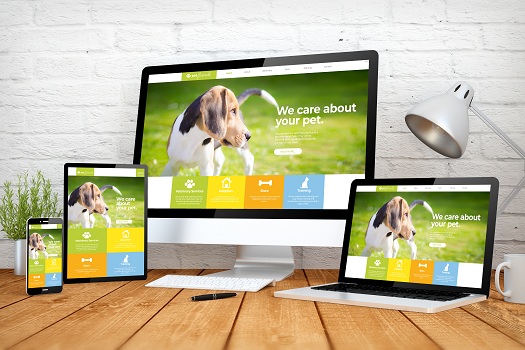 5 Key Principles of Effective Web Design