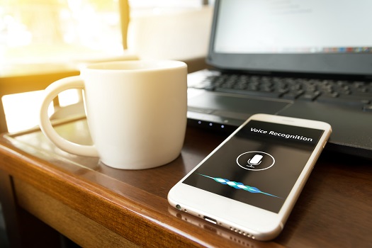 4 Biggest Trends in Voice Search to Watch for in 2020