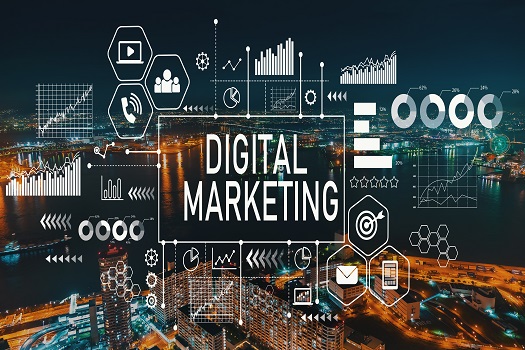 Embracing Sustainability: Key Trends in Digital Marketing